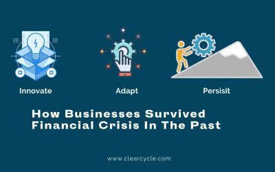 Innovate, Adapt, Persist: How Businesses Survived Financial Crisis in The Past